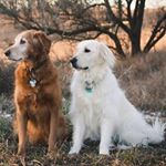 Profile Picture of Jeremy Craighead (@craighead.jeremy) on Instagram