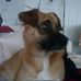 Profile Picture of Peter Bloss (@peter.bloss.5) on Facebook