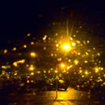 Profile Picture of Gavin (@gavinforrest) on Instagram