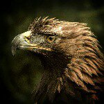 kaylee schneider - Instagram Profile Picture of kaylee schneider (@kayleebugz2003) on Instagram