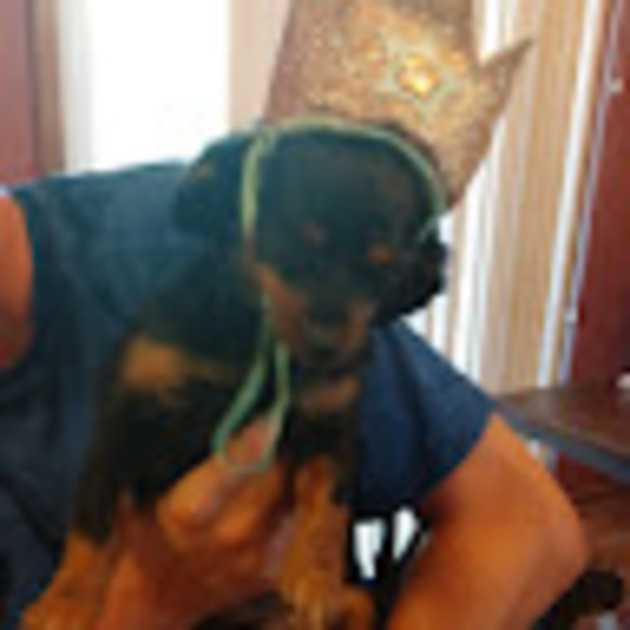 Profile Picture of Kristina Mainard (@klmainard) on Poshmark