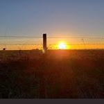 Profile Picture of Nathan (@sneedikiss_jr_lll) on Instagram