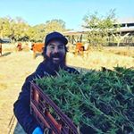 Profile Picture of Danny Albrecht (@evergreentopsheff420) on Instagram