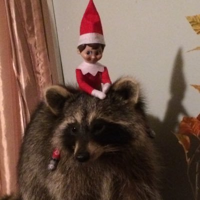 Profile Picture of Evan Thayer (@3dmachins) on Twitter