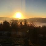 Profile Picture of Con Murphy (@foodbhoy) on Instagram