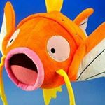 Profile Picture of Aaron (@fishelbarrel) on Instagram