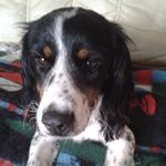 Profile Picture of Lin Wickers (@linwickers) on Instagram