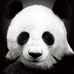 Profile Picture of Adam Zhao (@peter.zhao.16144) on Facebook