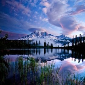 Profile Picture of Marian Ramirez (@rene870) on Pinterest