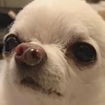 Profile Picture of A N T O N O V A (@jeeweequ) on Instagram