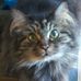 Profile Picture of Lois Clawson (@lois.clawson.1) on Facebook