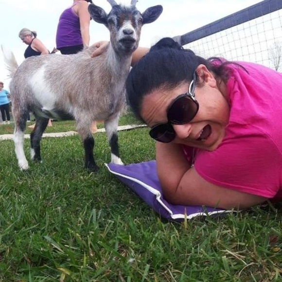 Profile Picture of Kelly Ceney-lampkin (@klamp1661) on Poshmark