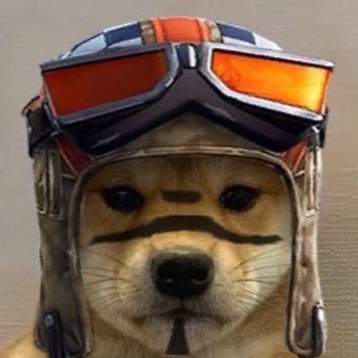 Profile Picture of Raven (@erik68899028) on Twitter