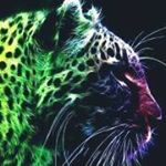 Profile Picture of Thomas Lebon (@thomas_wiixo) on Instagram