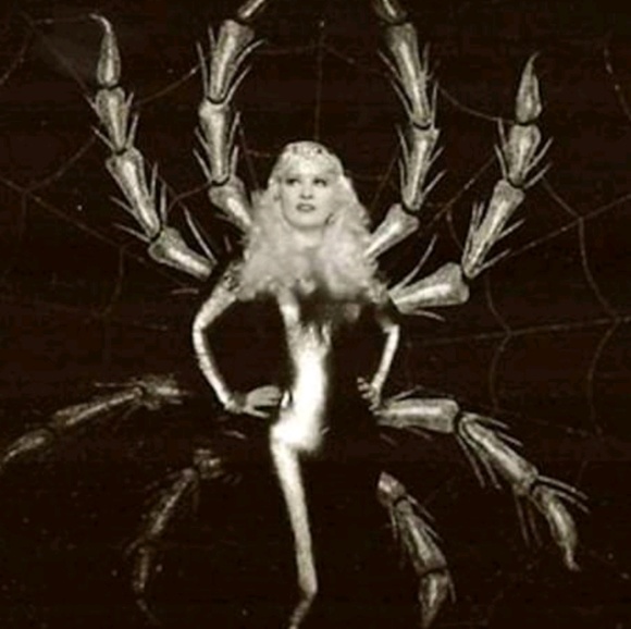 Profile Picture of Stacy Whitbeck (@stacywhitbeck) on Poshmark