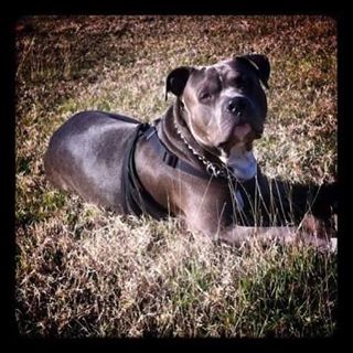 Profile Picture of Joseph Benoit (@joseph.benoit.39) on Facebook