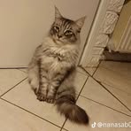 Profile Picture of Alice Bornet (@Alice-Bornet) on Facebook