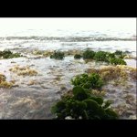 Profile Picture of Christopher Ahn (@cchristophher) on Instagram