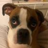 Profile Picture of Carlos Jacome (@@4cj20mx93) on Tiktok