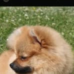 Profile Picture of Wiktoria Gerlitz (@Wiktoria-Gerlitz) on Facebook