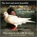 Profile Picture of Pearl Helmy (@pearlhelmy) on Pinterest