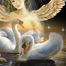 Profile Picture of Fabio Viviano (@fabio.viviano.5) on Facebook