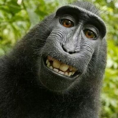 Profile Picture of Ian Corrigan (@iancorrian) on Twitter