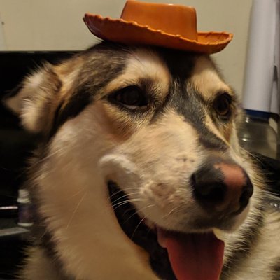 Profile Picture of James (@ChibiKaji) on Twitter