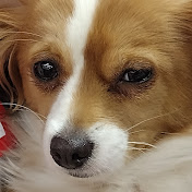 Profile Picture of Cheryl Cumbess (@cherylcumbess88) on Youtube