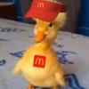 Profile Picture of Joseph Mueller (@@browhatareyoudoinghere69) on Tiktok