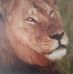 Profile Picture of Ernest Gabriel (@ernest.gabriel.393) on Facebook