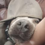 Profile Picture of Steven Denton (@steven.denton.399925) on Facebook