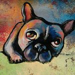 Profile Picture of Todd A Toalston (@toddtoalston) on Instagram