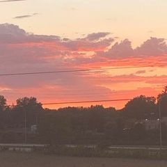 Profile Picture of Nicklausmikaelsonhybridsdag (@allanbartholomew) on Tiktok