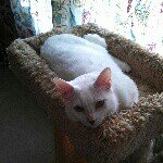 Profile Picture of Dylan Bailey (@bdailey001) on Instagram