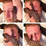 Profile Picture of Loren Morales 🐍 (@loren_morales) on Instagram