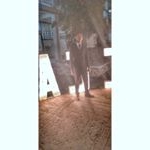 Profile Picture of Alexander Lizama (@enriqueruiz_18) on Instagram