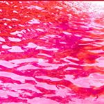 Paul Michael - Instagram Profile Picture of Paul Michael (@paul_michael_music) on Instagram