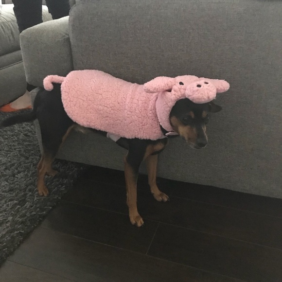 Profile Picture of Mark Moser (@mosermt) on Poshmark