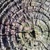 Profile Picture of Andrew Bernetich (@andrew.bernetich.5) on Facebook