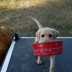 Profile Picture of Tom Randolph (@thomas.randolph.549) on Instagram