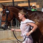 Profile Picture of Jane Wilcox 🇦🇺 (@janew.eventing) on Instagram