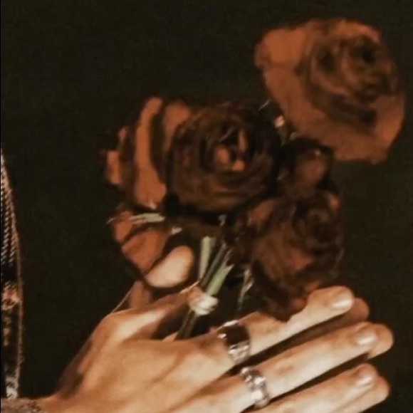 Profile Picture of Danielle Beukes (@daniellebeukes) on Poshmark