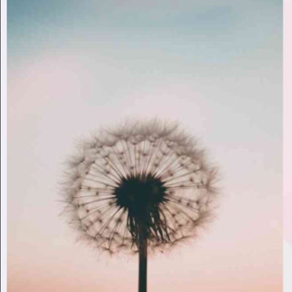 Profile Picture of Lily Kuntzman (@lily_rk) on Poshmark