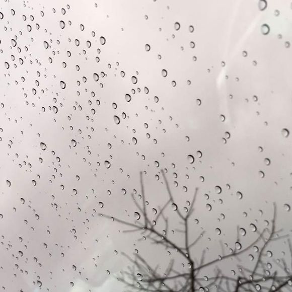 Kelly Paz - Poshmark Profile Picture of Kelly Paz (@kelly_paz) on Poshmark