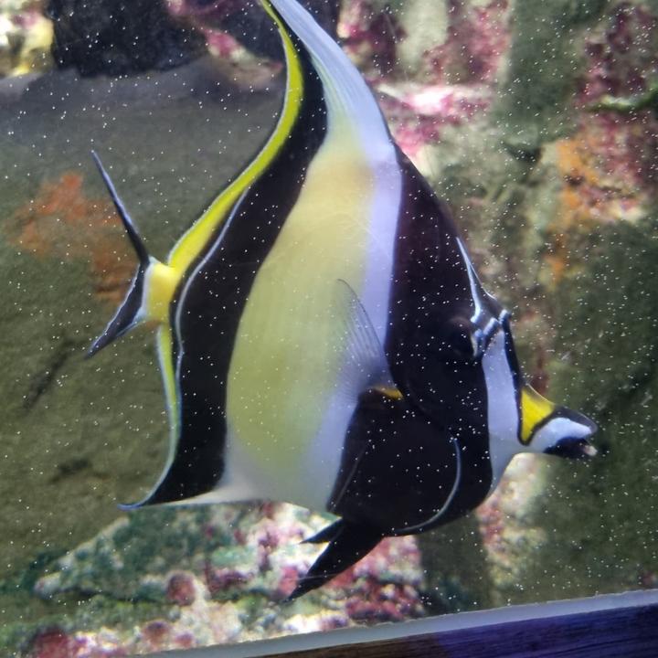 Profile Picture of David Tinkler (@@davidtinkler) on Tiktok