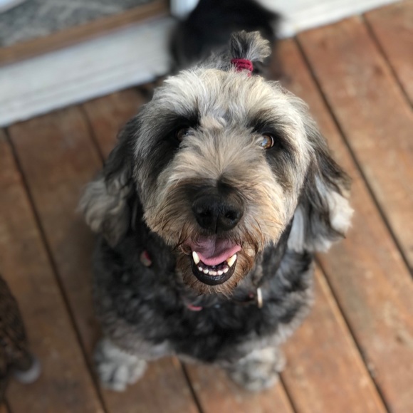 Profile Picture of Adrian Bleckman (@adbleck) on Poshmark