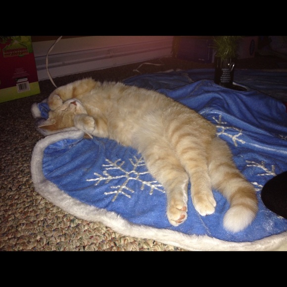 Profile Picture of Jannell Sworski (@jnell77) on Poshmark