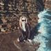 Profile Picture of Olga Paskal (@Olga-Paskal) on Facebook