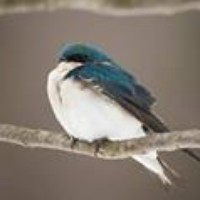 Profile Picture of Chen-ping Yu (@chen-ping-yu-1) on Quora